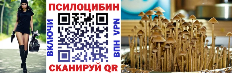 Псилоцибиновые грибы Psilocybe kraken сайт нарко площадка официальный сайт Саяногорск