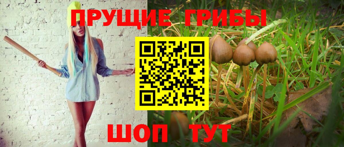 Псилоцибиновые грибы Magic Shrooms Саяногорск