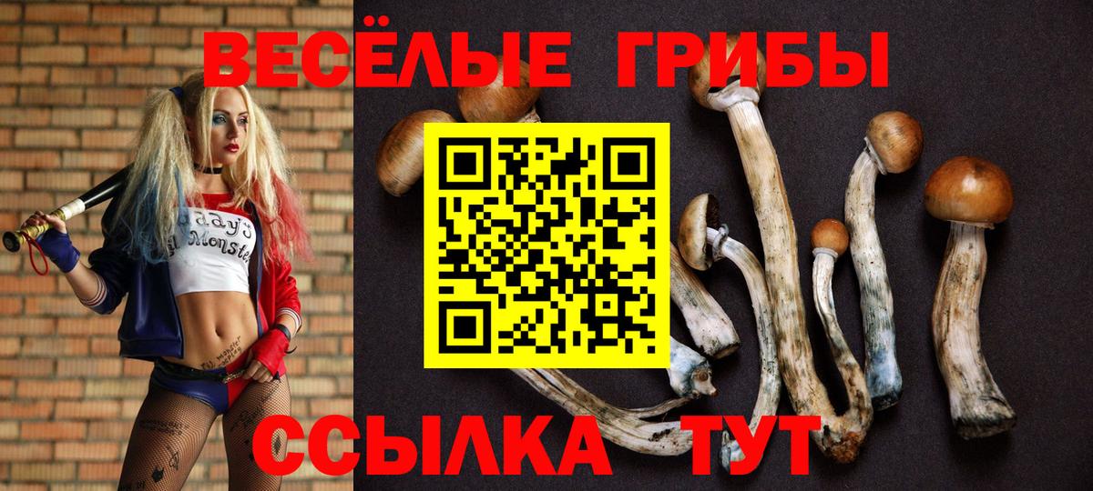 Саяногорск  Галлюциногенные грибы Psilocybine cubensis  Вход с VPN  Галлюциногенные грибы Psilocybe 